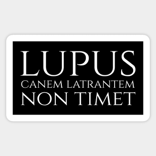 lupus non timet canem latrantem - a wolf is not afraid of a barking dog - Latin quote Sticker